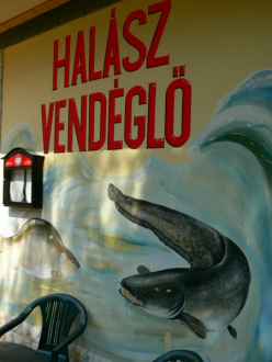Halász Vendéglő – 5. kép